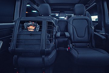 Hunde bis 15 kg können unkompliziert und sicher im Auto transportiert werden - Foto: Hersteller