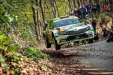 Škoda Privatiers fahren um WM-Punkte