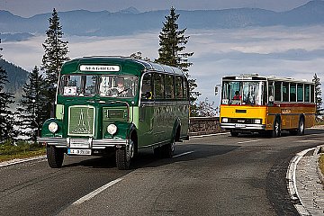 Oldtimer-Busse im Einsatz - Foto: Herbert Steves/heppypress.de