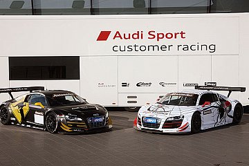 Die beiden Audi R8 LMS von Phoenix Racing stehen unverwechselbar für die Natur Australiens: Känguru und Spinne