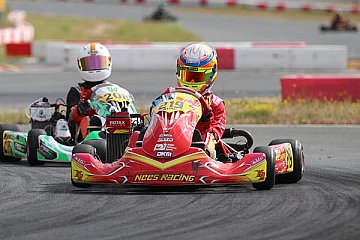 Carlos Nees