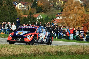 Beste Aussicht auf spektakuläre Rallye-Action – aber sicher!