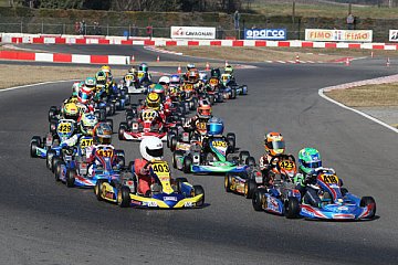 Rok Mini boomt weiter