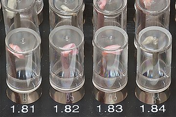 Wildkart informiert: Vergaserdüsen-Messkit neu im Soriment