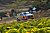 Kevin Abbring/Sebastian Marshall, Hyundai i20 WRC - Foto: Hyundai