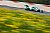 Nico Müller im Audi RS 5 DTM - Foto: DTM