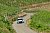 Die engen kurvenreichen Passagen in den Weinbergen stellen die Fahrerinnen und Fahrer vor besondere Herausforderungen - Foto: obs/ADAC