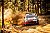 Toyota GR Yaris Rally1 debütiert auf Schotter