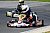 Beule Kart: Starke Sodi Kart-Performance in Hahn