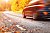Gute Fahrt und sicheres Ankommen im Herbst