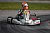 Starke Aufholjagd von Fabio Rauer in der Deutschen Kart-Meisterschaft