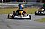 ROTAX MAX Challenge in Wittgenborn am 08./09.08.2015