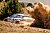 Nächste Generation des SKODA FABIA in Rally2-Version: Ebenso wie die Serienversion des SKODA FABIA steht auch das in seiner Kategorie erfolgreichste Rallye-Fahrzeug der letzten sechs Jahre vor einem Generationswechsel - Foto: obs/Skoda
