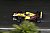 Tom Blomqvist - Foto: FIA Formel 3