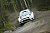 VW gibt Vollgas beim Rallye-WM-Finale in Wales