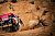 Reifenschäden verhindern gutes „Dakar“-Tagesresultat für Dirk von Zitzewitz