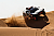 Nächste Aufgabe für den Audi RS Q e-tron in Abu Dhabi
