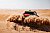Rajhi/Gottschalk sichern sich Podiumsresultat bei der Abu Dhabi Desert Challenge