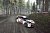 Polo GTI R5 auch virtuell erste Wahl bei den Rallye-Fans
